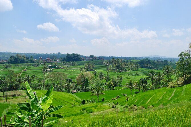 Full Day Wonders of Bali Private Tour with Pickup and Lunch - Key Points