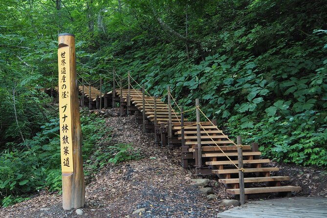 full-day-world-heritage-shirakami-mountains-hiking-tour