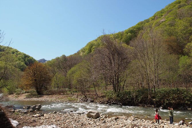 full-day-world-heritage-shirakami-mountains-hiking-tour