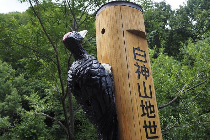 full-day-world-heritage-shirakami-mountains-hiking-tour