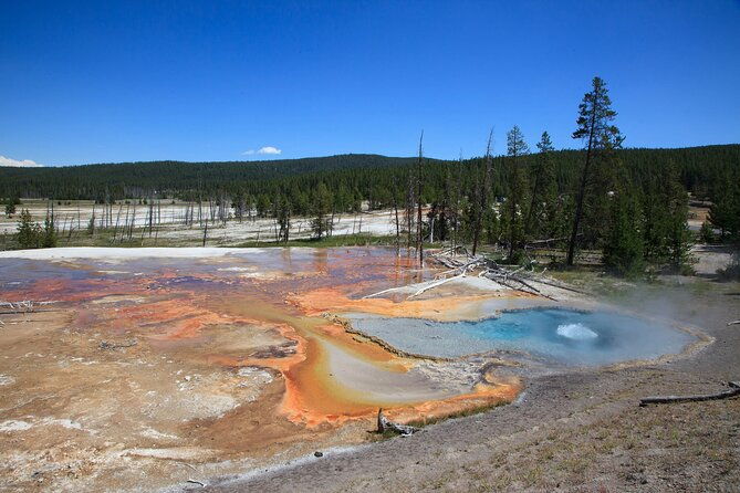 full-day-yellowstone-natl-park-tour-from-big-sky-private-tour-2
