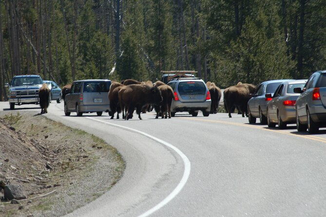 full-day-yellowstone-upper-northern-loop-tour
