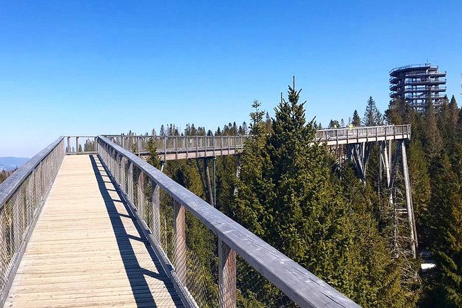 full-day-zakopane-and-slovakia-treetop-walk-from-krakow