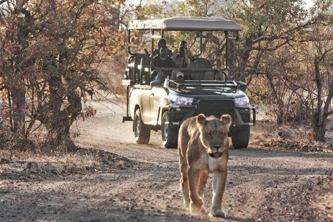 Full-Day Zimbabwe Zambezi National Park Safari & Lunch - FAQ