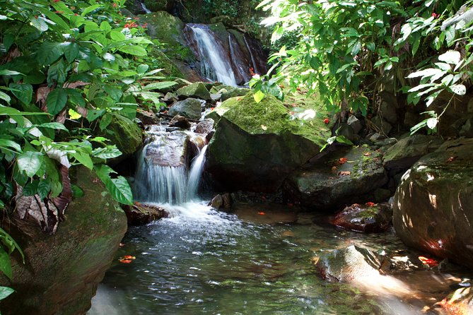 full-day-zipline-and-waterfall-rappelling-adventure-near-san-juan