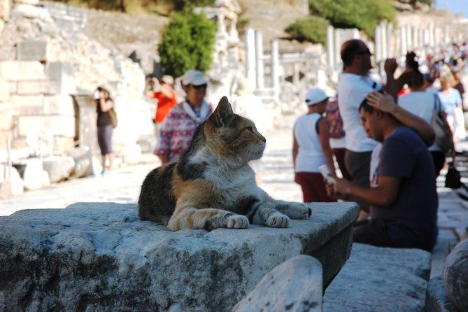 full-ephesus-with-all-highlights-tour-skip-the-line-tickets