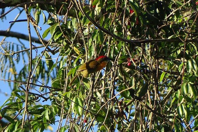full-expedition-5days-4nights-amazon-wonder-expeditions