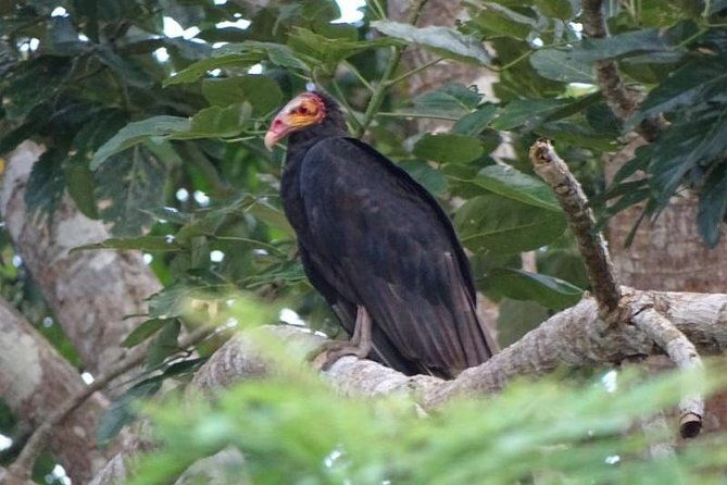 full-expedition-5days-4nights-amazon-wonder-expeditions