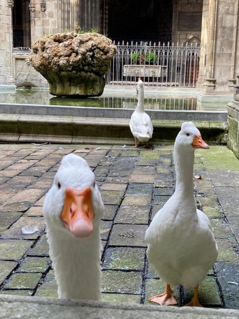 full-half-day-barcelona-highlights-with-entrances-tasting