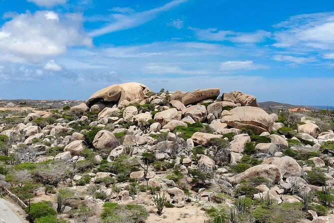 full-island-safari-tour-and-baby-beach-in-aruba