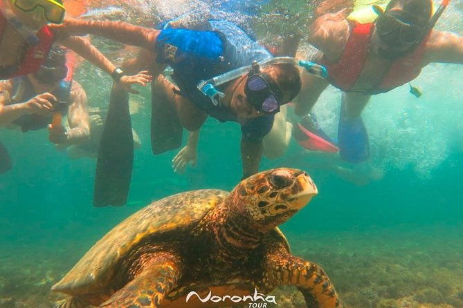 full-island-tour-in-fernando-de-noronha-boat-tour