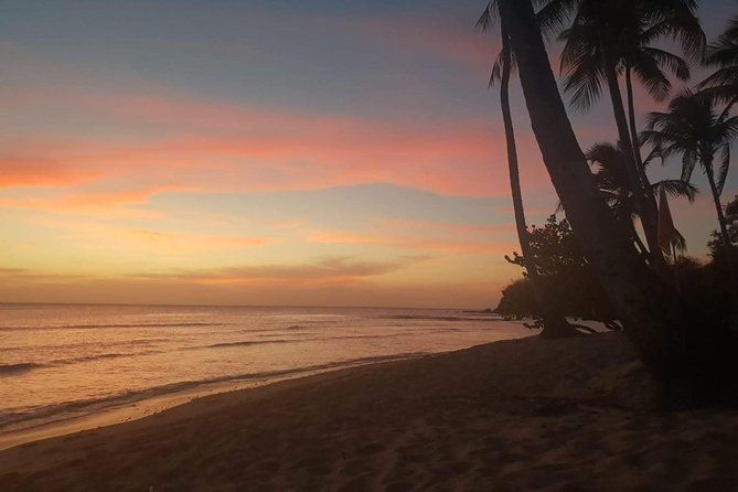 full-island-tour-including-lunch-snorkeling