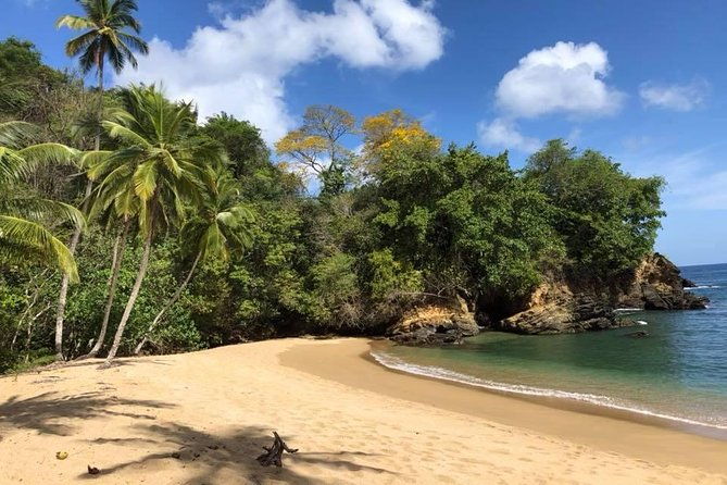 full-island-tour-including-lunch-snorkeling