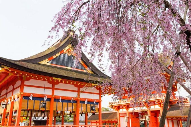 full-kyoto-magical-experience-1-day-tour