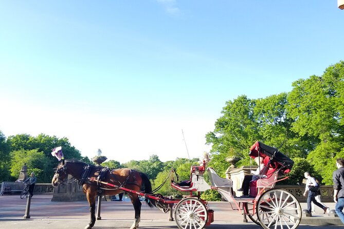full-loop-private-horse-carriage-ride-in-central-park-45-minutes