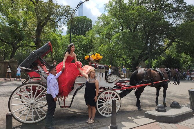 full-loop-private-horse-carriage-ride-in-central-park-45-minutes