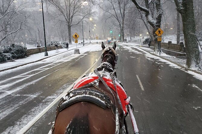 full-loop-private-horse-carriage-ride-in-central-park-45-minutes