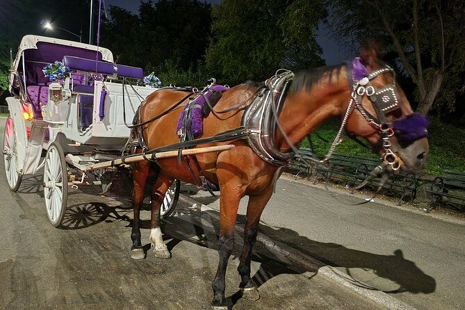 full-loop-private-horse-carriage-ride-in-central-park-45-minutes