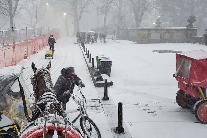 full-loop-private-horse-carriage-ride-in-central-park-45-minutes