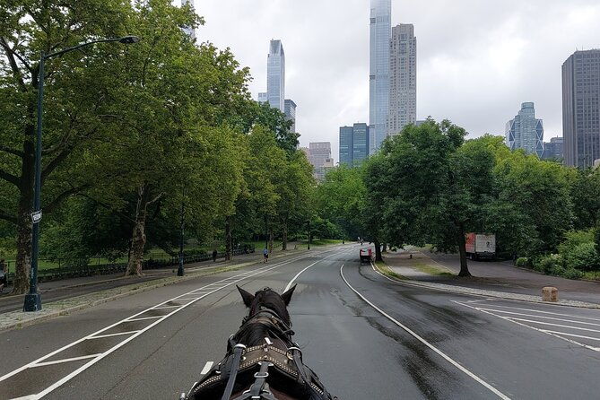 full-loop-private-horse-carriage-ride-in-central-park-45-minutes