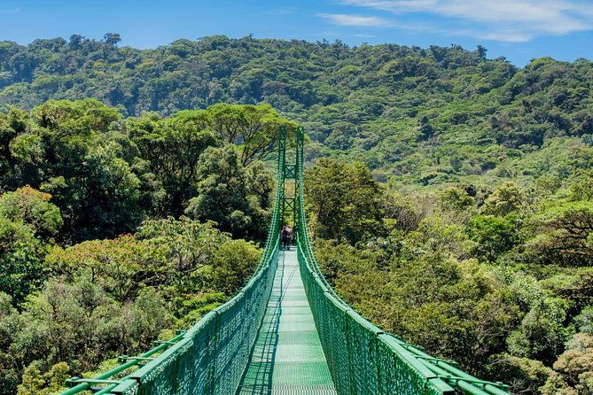 full-monteverde-cloud-forest-experience-with-ziplining