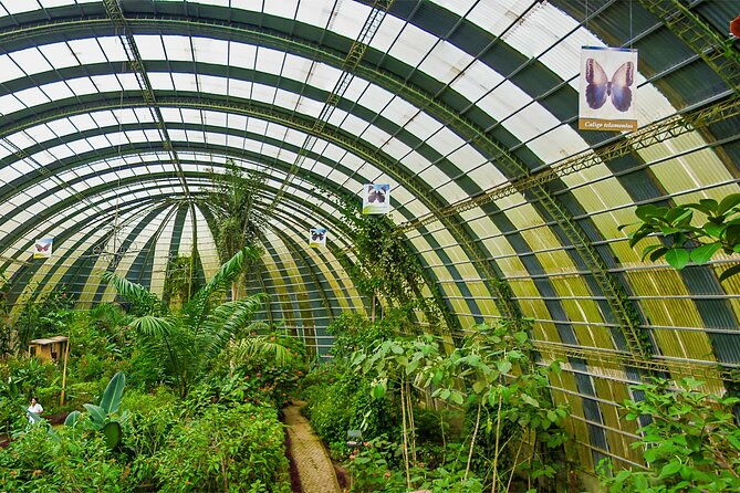 full-monteverde-cloud-forest-experience-with-ziplining
