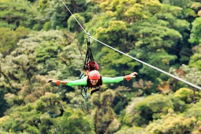 full-monteverde-cloud-forest-experience-with-ziplining