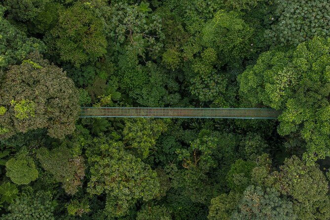 full-monteverde-cloud-forest-experience-with-ziplining