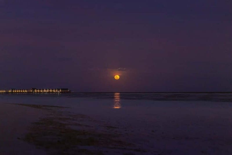 Full Moon Magic  2h Night Sailing in Sotogrande - Who Should Consider This Experience