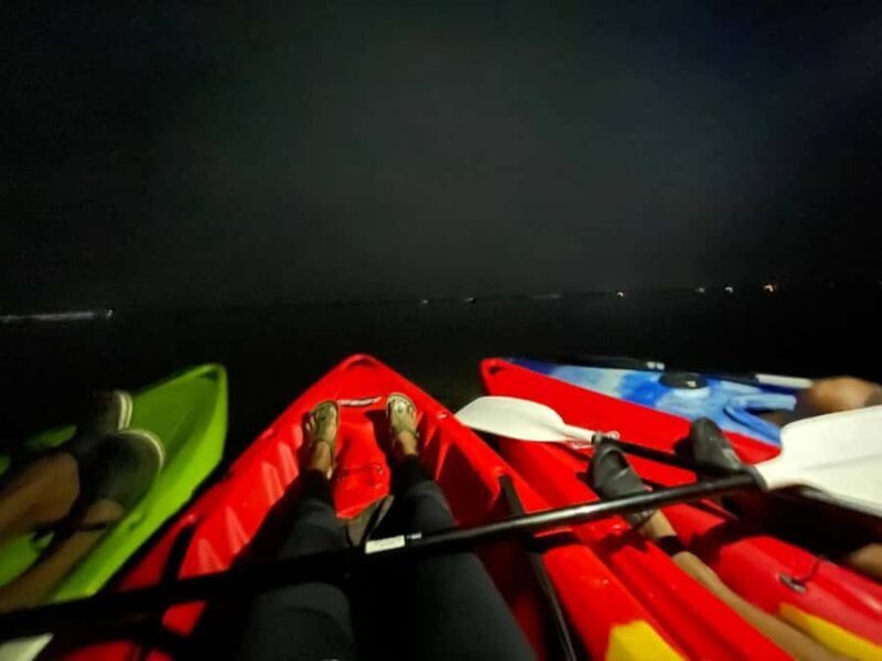Full Moon Night Kayaking to Pathiramanal Island - Detailed Breakdown of the Experience