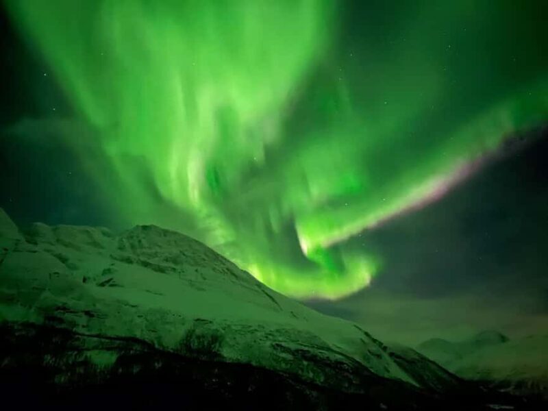 Full Night Magic of the Northern Lights in Tromso - The Experience: A Detailed Breakdown