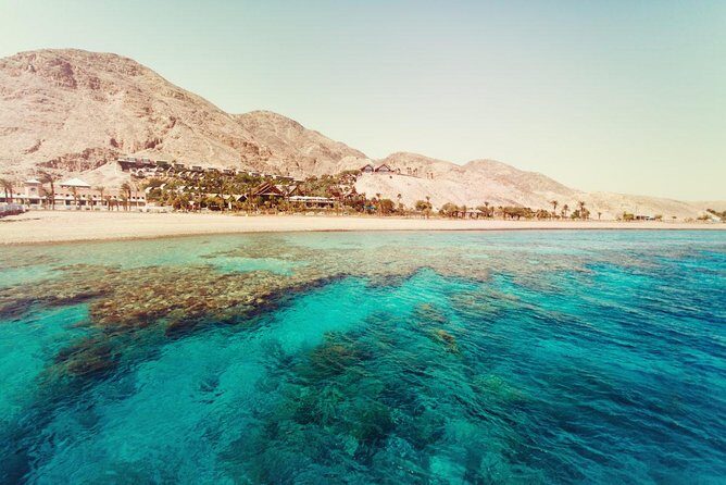 Full Relaxing Day To The Red Sea From Cairo Or Giza Hotel - Who Should Consider This Tour?