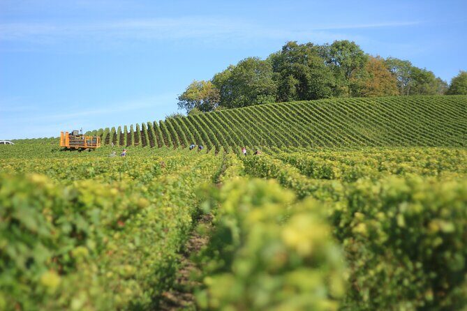 Full Rioja Wine Tour with Lunch from Bilbao Private Tour - What to Expect from the Rioja Wine Tour