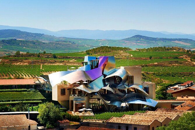 full-rioja-wine-tour-with-lunch-from-san-sebastian-private-tour