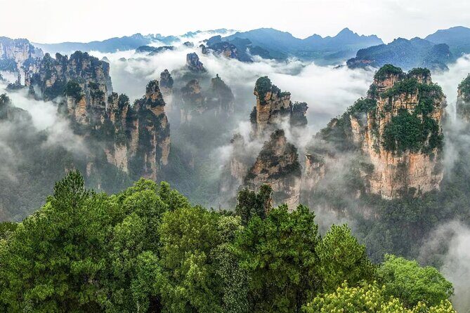 Full VIP Zhangjiajie National Forest Park Day Tour - The Sum Up