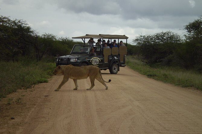 Fullday Gamedrives in Kruger National Park from Marlothpark - Key Points