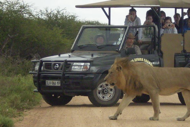 Fullday Gamedrives in Kruger National Park from Marlothpark - What Makes This Tour Stand Out?