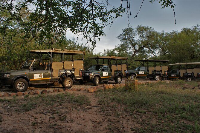 Fullday Gamedrives in Kruger National Park from Marlothpark - The Guide and Group Size: What Travelers Say