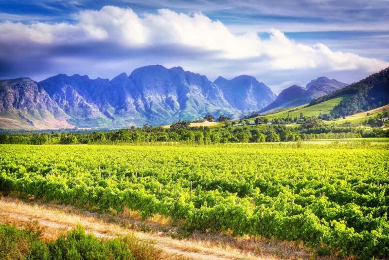 Fullday Wine Tour - FAQs