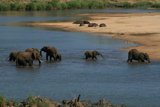 Fully inclusive Pilanesberg safari from Johannesburg - Exploring the Itinerary in Detail