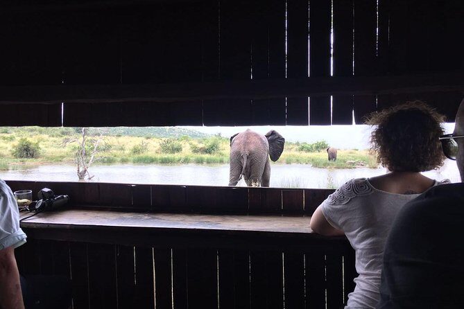 Fully inclusive Pilanesberg safari from Johannesburg - FAQ