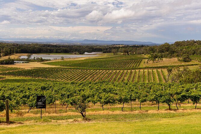 Fully Private and Customisable Hunter Valley Wine Tour - Key Points
