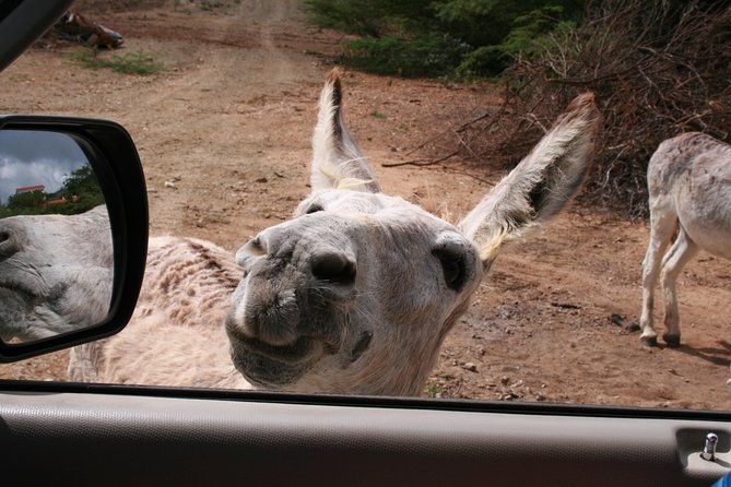 fully-private-north-and-south-tour-with-a-local-guide