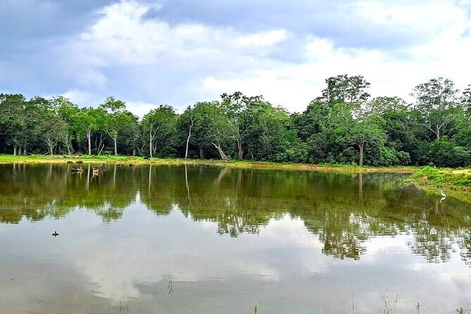 Fully Private Udawalawe National Park Safari Tour - FAQs