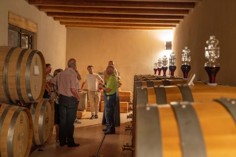 Fumane: Valpolicella Wine and Food Tasting with Farm Tour - Introduction