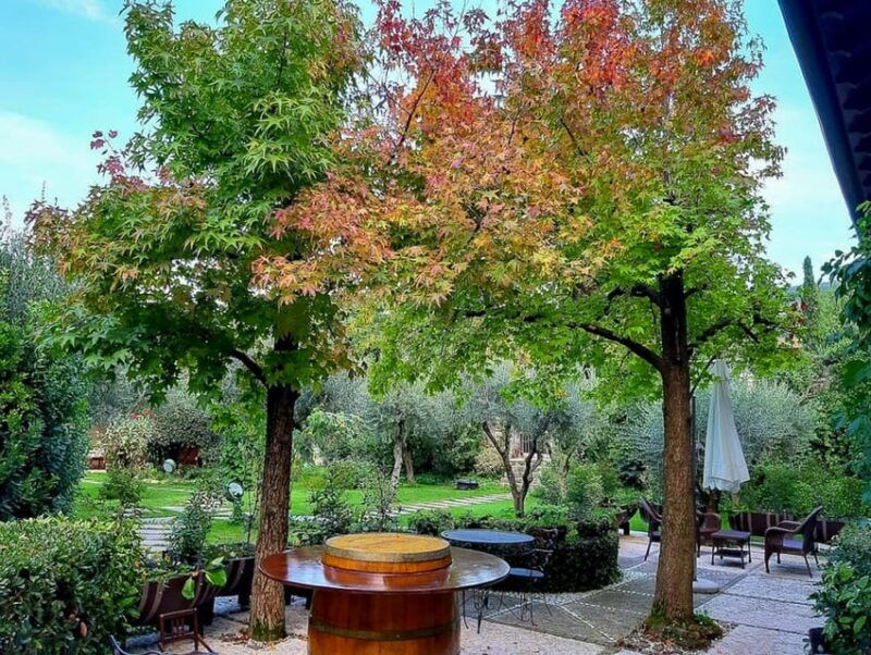 fumane-valpolicella-wine-tasting-tour-in-a-medieval-court