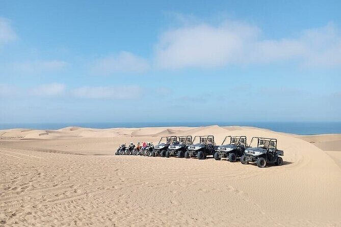 Fun buggies in Agadir Forest and Beach Dunes - Key Points