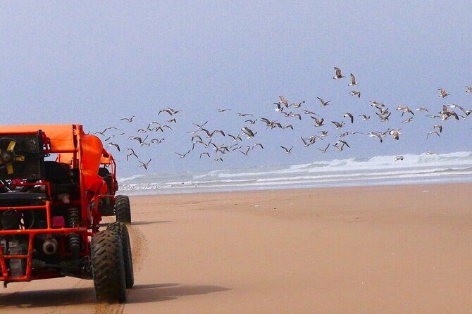 Fun buggies in Agadir Forest and Beach Dunes - An In-Depth Look at the Agadir Buggy Experience