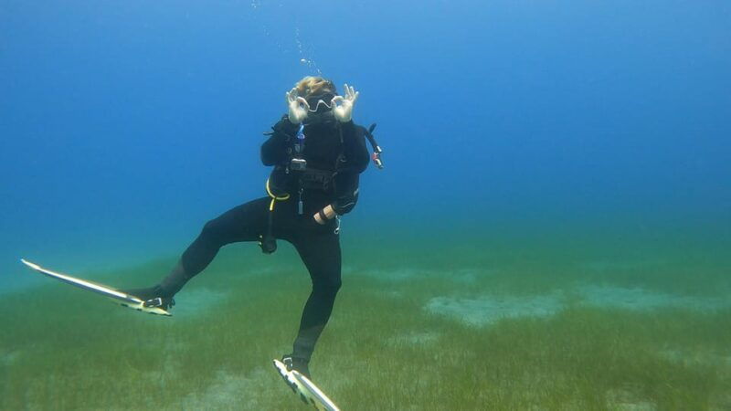 fun-dive-for-certified-divers-in-tenerife