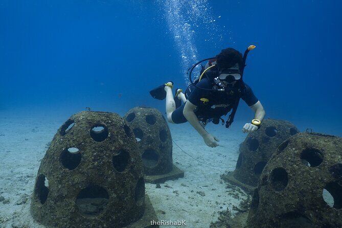 Fun Dive on Racha Islands for Certified Divers Only - The Sum Up